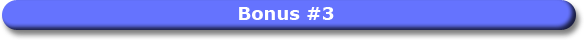 Bonus No. 3