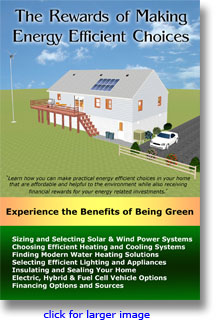 Click here for larger image - The Rewards of Making Energy Efficient Choices by David Nelmes