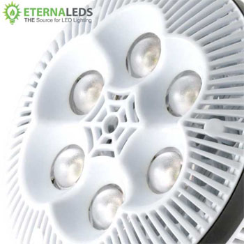 Copyright 2009 Eternaleds, Inc. - led bulbs, led light bulbs, led lighting, led lights, eternaleds, quanta-9, quanta-18, led floodlights, low cost led bulbs, led flood lights
