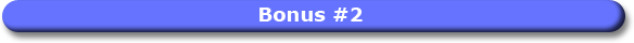 Bonus No. 2