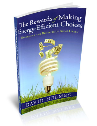 The Rewards of Making Energy Efficient Choices